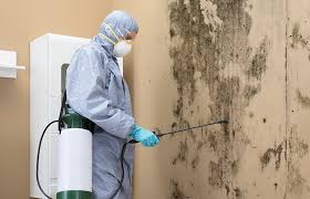 Best Mold Remediation for Healthcare Facilities  in Acton, CA